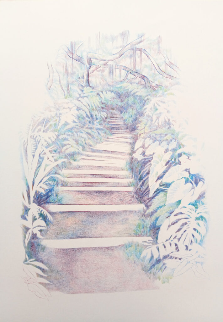Dessin